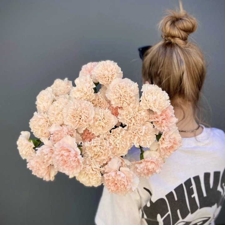 Охапка диантусов  в Туле