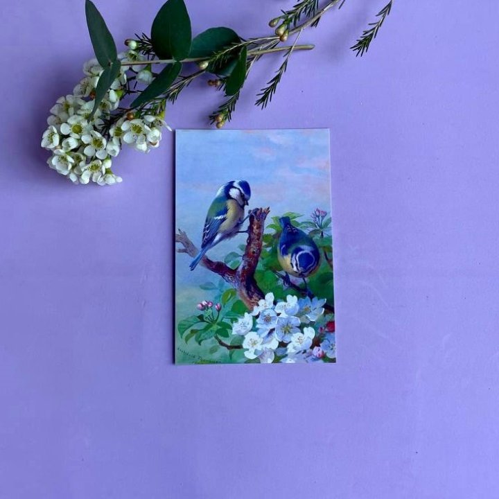 Открытка к букету "Птицы" в Туле