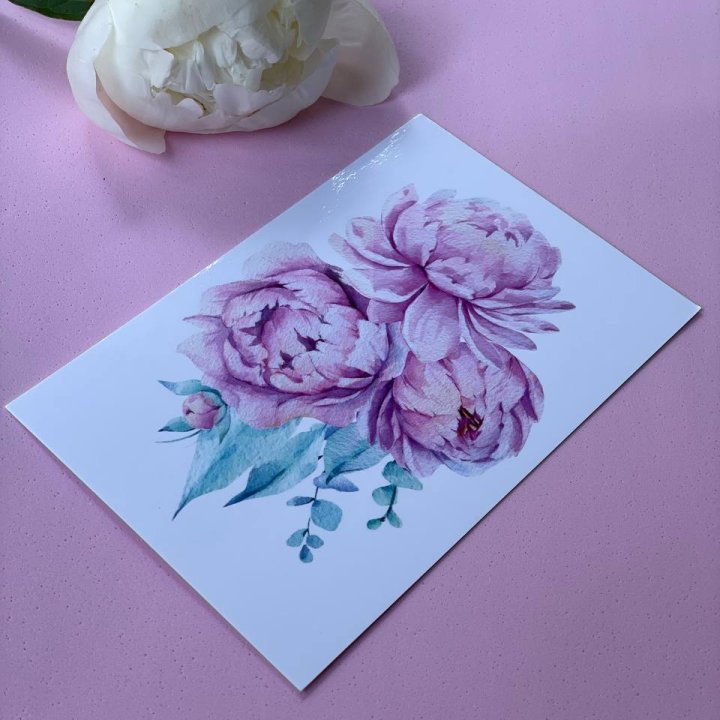 Открытка к букету "Пионы" в Туле