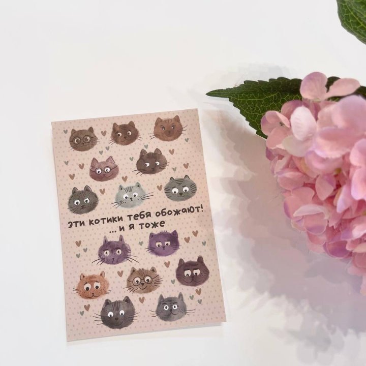 Открытка к букету "Котики" в Туле