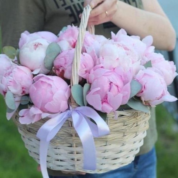 15 пионов в корзине в Туле