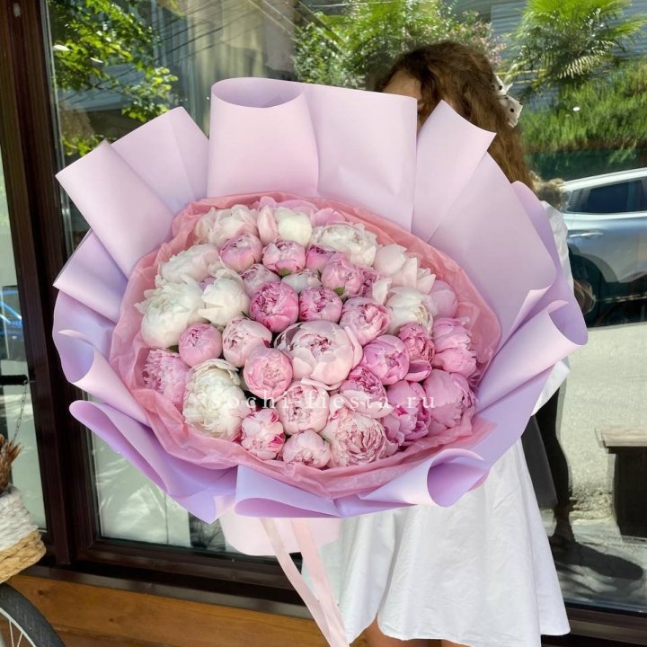 51 розовый пион в Туле