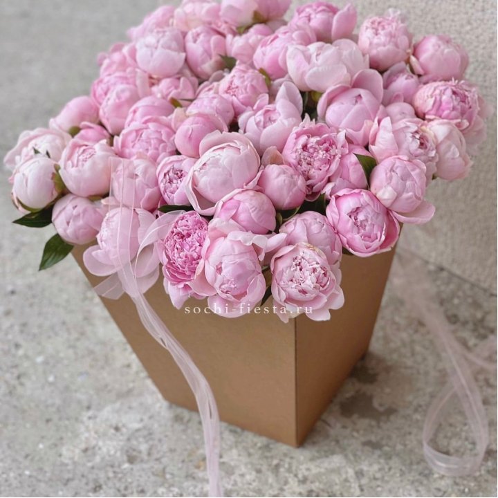 49 пионов в крафт коробке в Туле