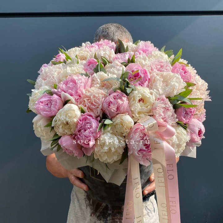 51 пионов в боксе в Туле