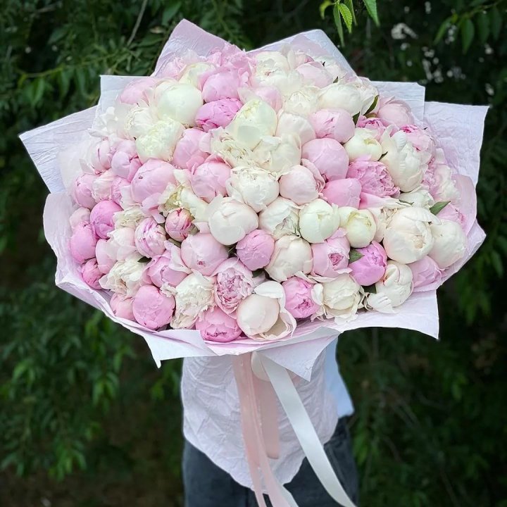 101 пион в Туле