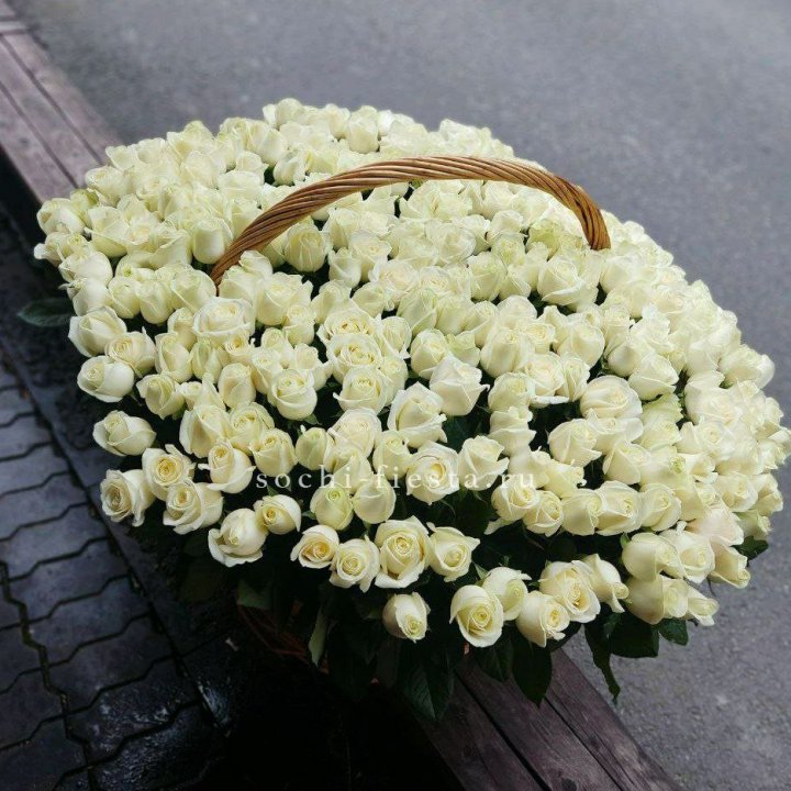 303 розы в корзине в Туле