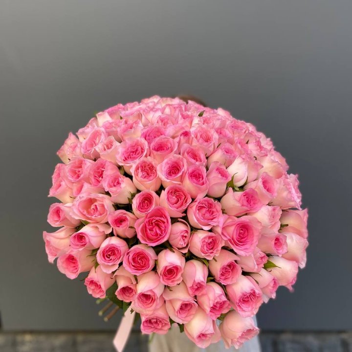 101 розовая роза в Туле