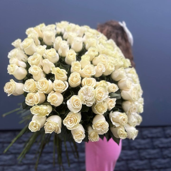 101 белая высокая импортная роза под ленту в Туле