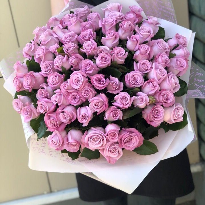 71 розовая роза "Маритим" в Туле