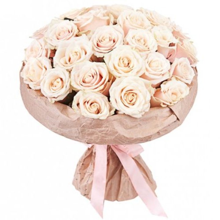 25 кремовых роз "Craft" в Туле