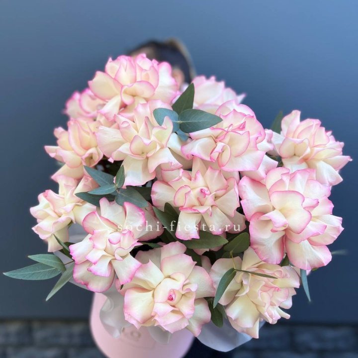 15 Французских роз Джумилия в боксе в Туле