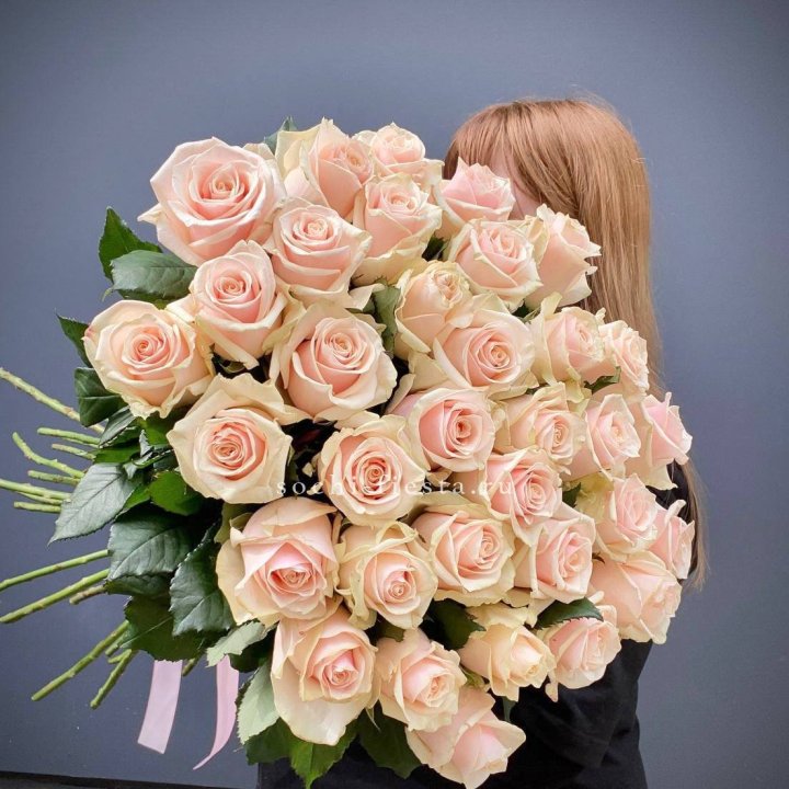 35 кремовых высоких роз в Туле