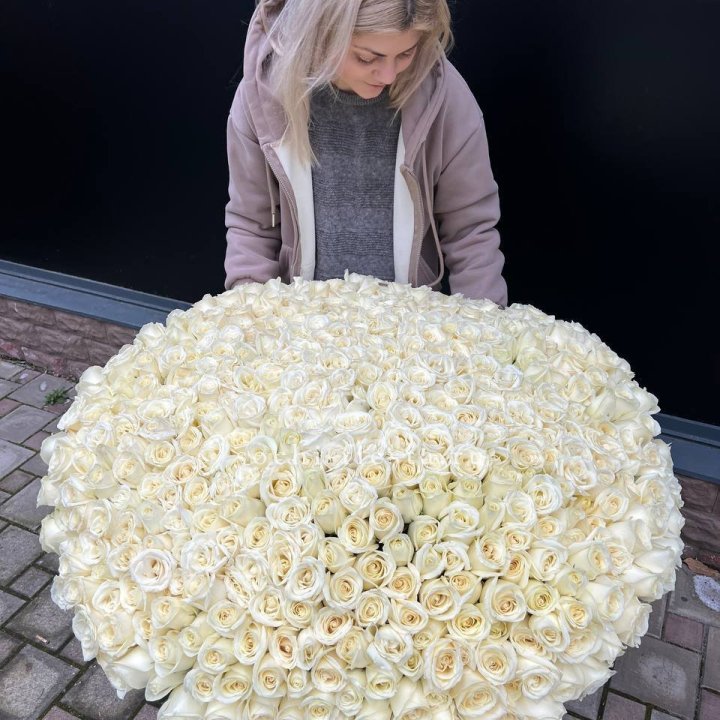 501 белая роза в корзине в Туле