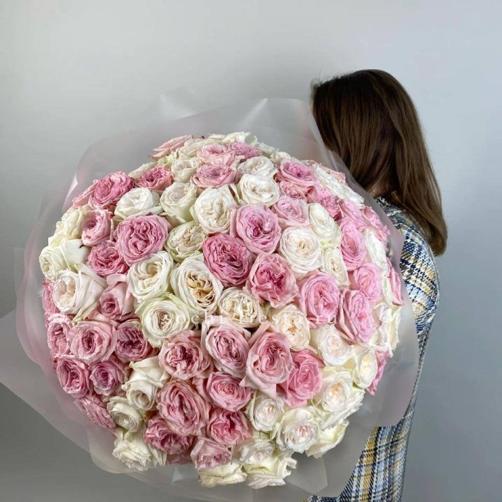 101 роз Охара в Туле