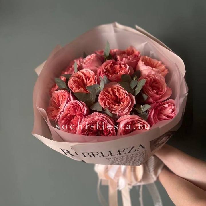 15 Пинк экспрешен в Туле