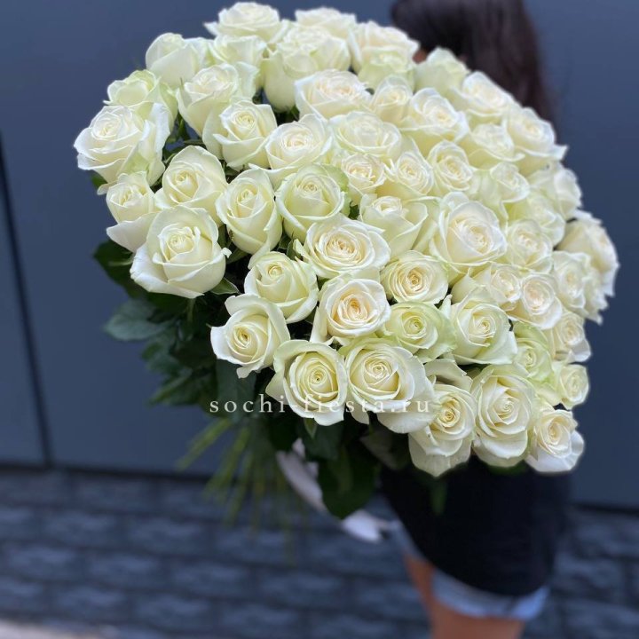 51 белоснежная высокая роза в Туле
