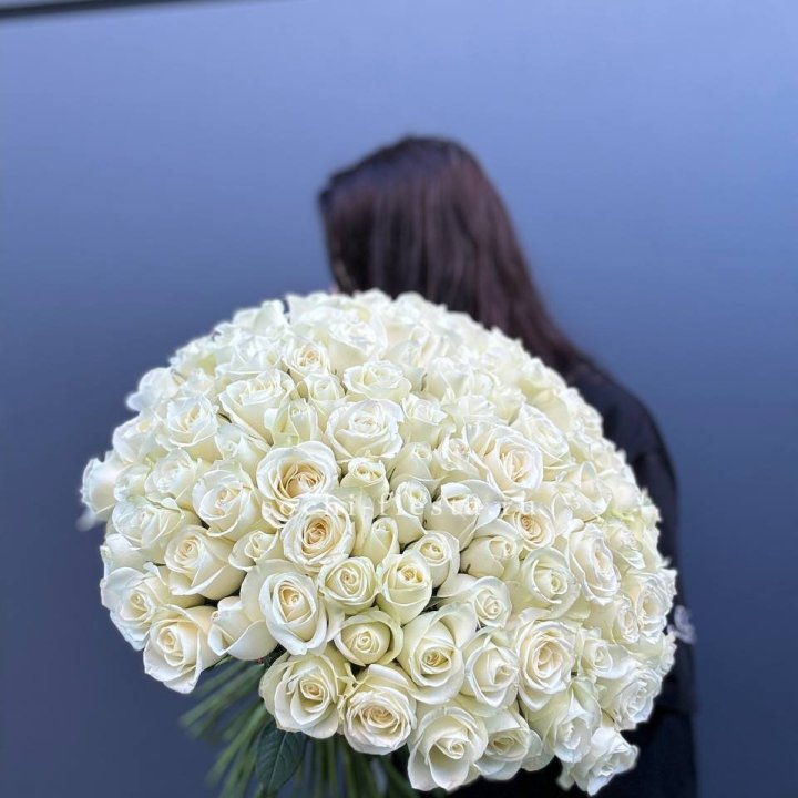 Охапка из 101 белой розы  в Туле