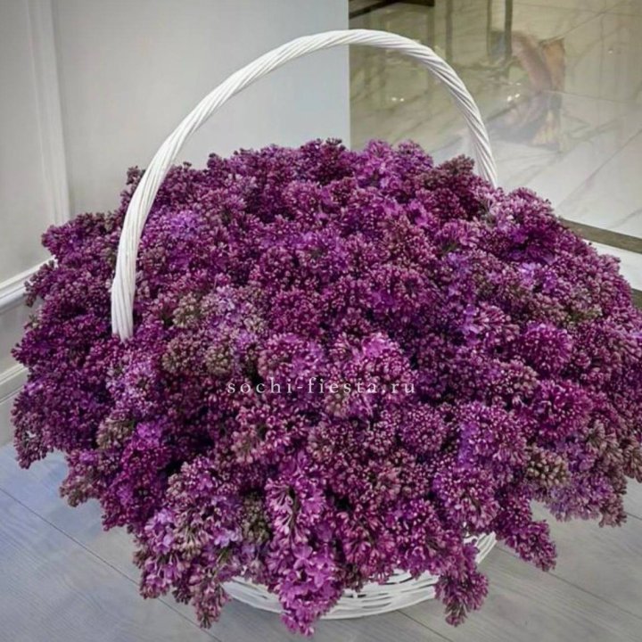 Корзина сирени в Туле