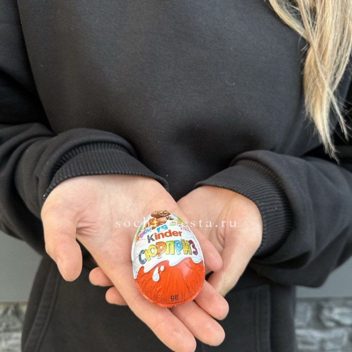 Яйцо "Киндер Сюрприз" в Туле