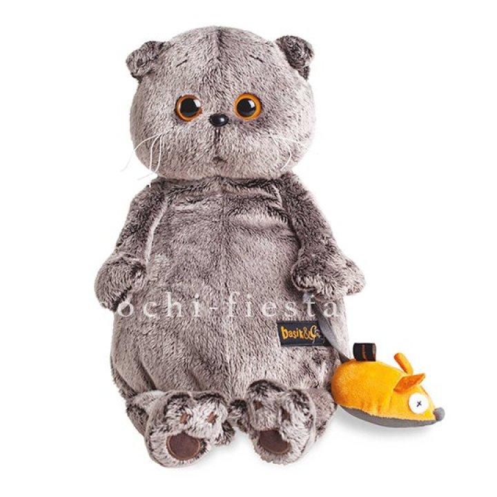 Кот Басик с мышкой в Туле