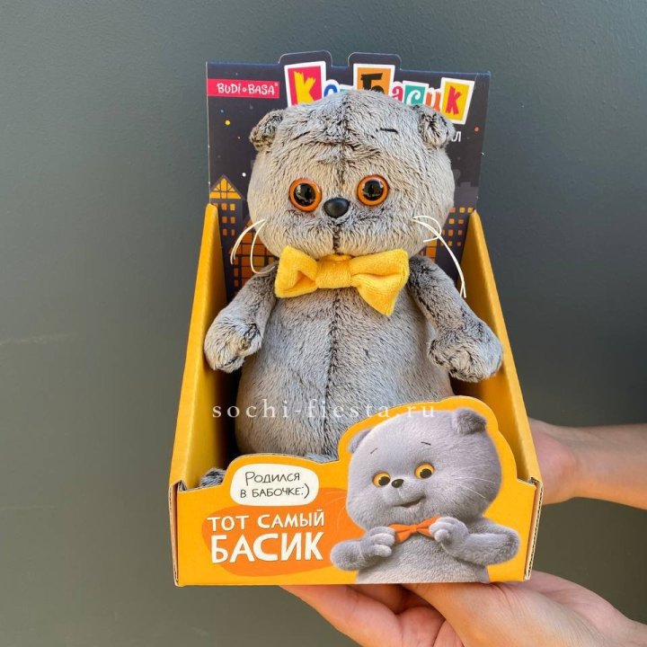 Кот Басик с бабочкой в Туле