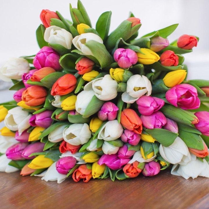 79 тюльпанов "Рандом" в Туле