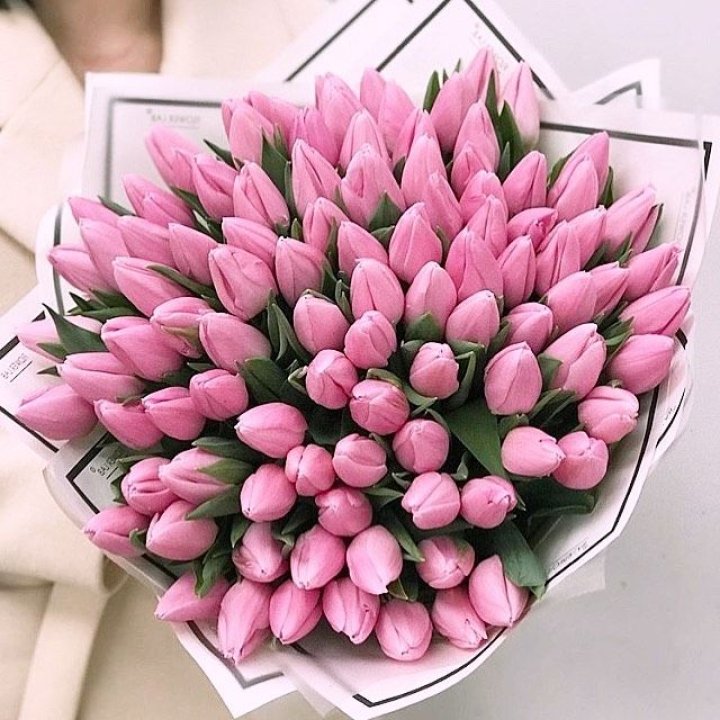 101 розовый тюльпан в белом в Туле