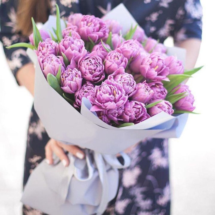 Тюльпаны "Пионс" в Туле