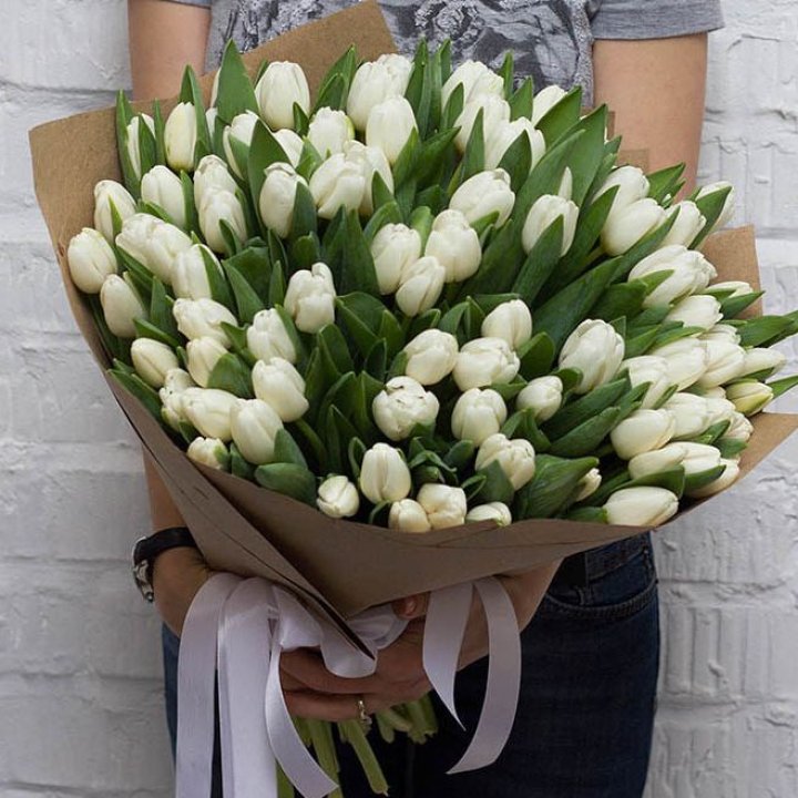 101 тюльпан сноу в Туле