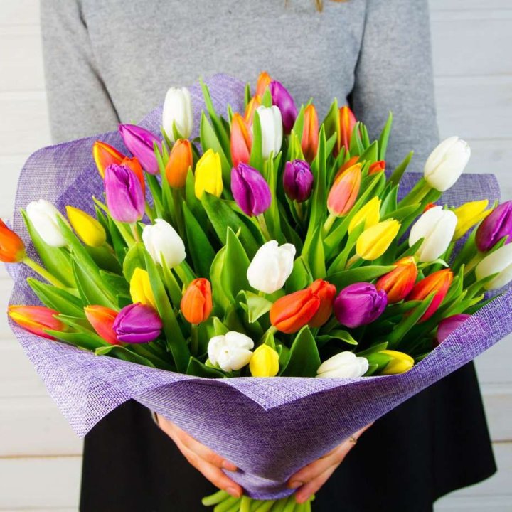 51 тюльпан "Рандом" №2 в Туле